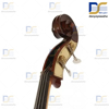 خرید کنترباس هافنر Conterabass karl Höfner AS_060