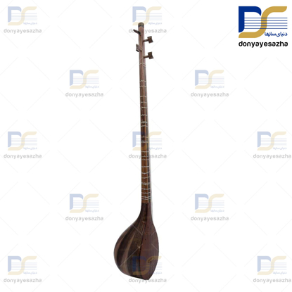 سه تارصفری ریشه درخت گردو