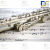 فلوت یاماها کلیددار flute Yamaha YFL_212