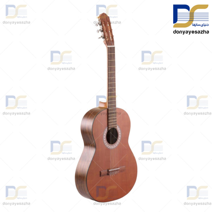 گیتار پارسی ام۶ کلاسیک parsi m6
