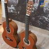 گیتار پارسی ام۶ کلاسیک parsi m6