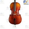 ویلن سل ایستمن مدل Eastman_VC_405 دست ساز