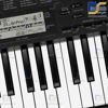 کیبورد ارگ کاسیو  CASIO CTK_3500 باکیس و آداپتور اصلی