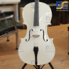 ویولن سل ایستمن 4/4 Eastman VC_205 W