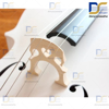 ویولن سل ایستمن 4/4 Eastman VC_205 W