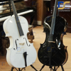 ویولن سل ایستمن 4/4 Eastman VC_205 W