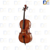 ویلن-سل-2/4-ایستمن-205-Eastman