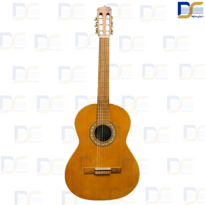 گیتار Parsi مدل P80