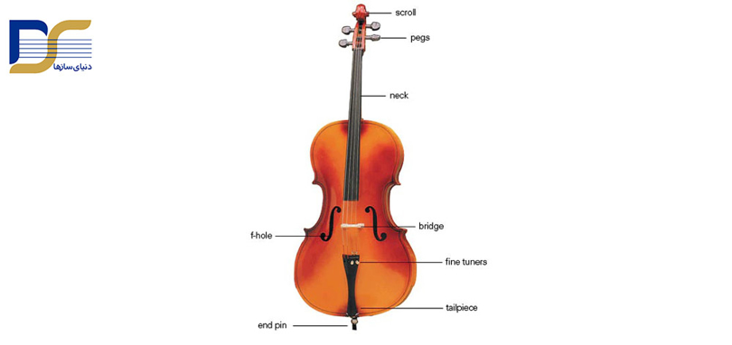ساختار و اجزای ویولنسل