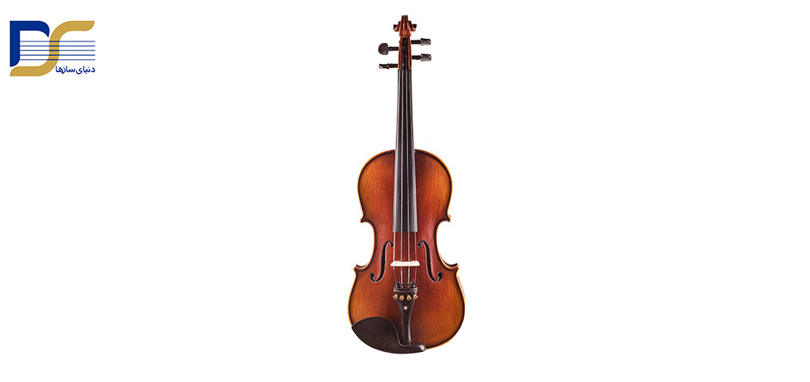 نکات مهم در خرید و قیمت ویولن مولر Muller