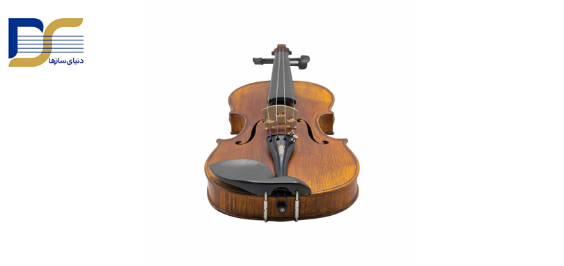 نکات مهم خرید و قیمت ویولن مولر Muller